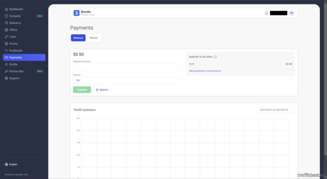 история выплат в партнерской программе Binolla